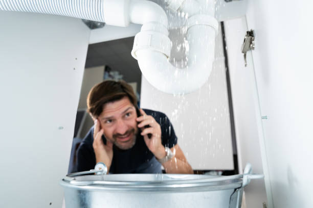 Best Plumbing Services Near Me  in Lombard, IL