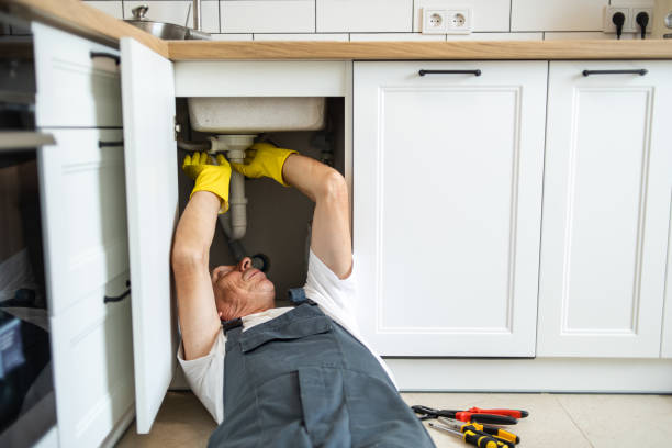 Best Plumbing Repair Near Me  in Lombard, IL